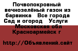 Почвопокровный, вечнозелёный газон из барвинка - Все города Сад и огород » Услуги   . Московская обл.,Красноармейск г.